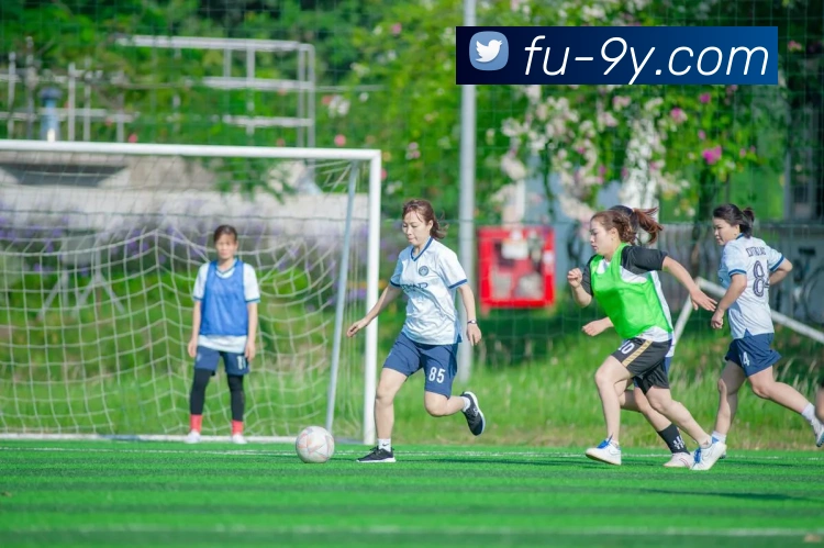 九游官网平台生态图